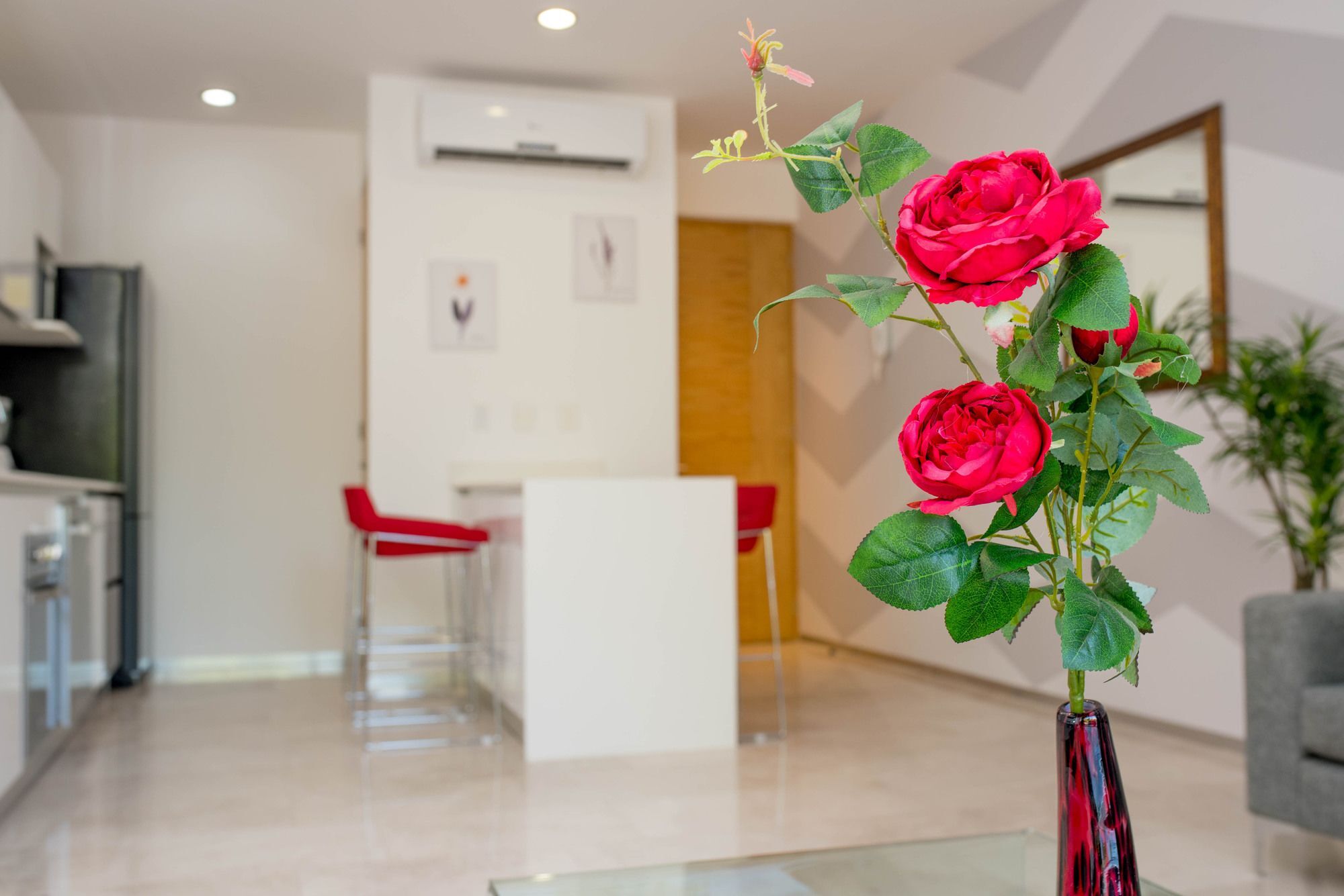 Apartamento Menesse 32 01 By Imexico